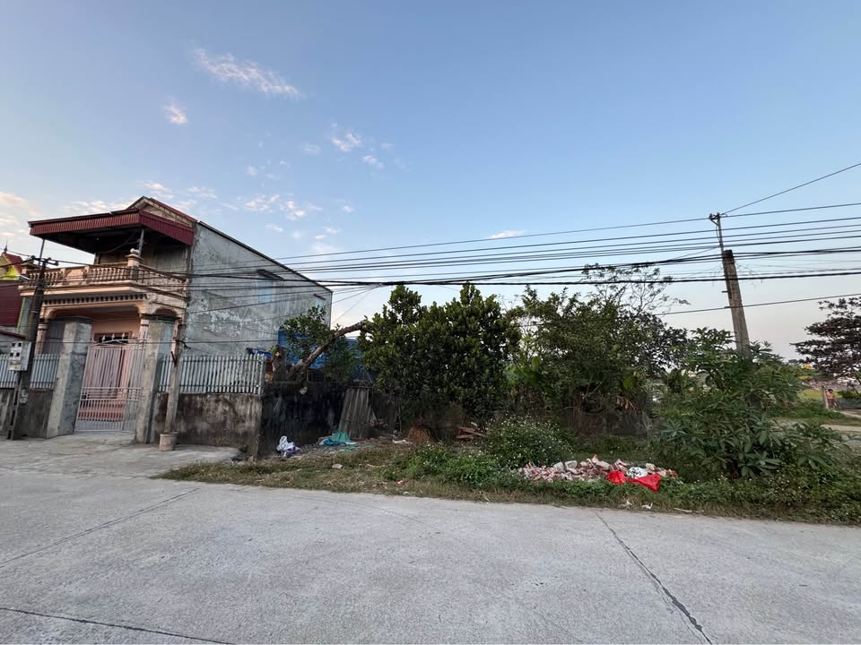 Bán đất mặt đường Lương Ý, xã Bình Mỹ, Củ Chi 196m² - Đường rộng ô tô tránh nhau!