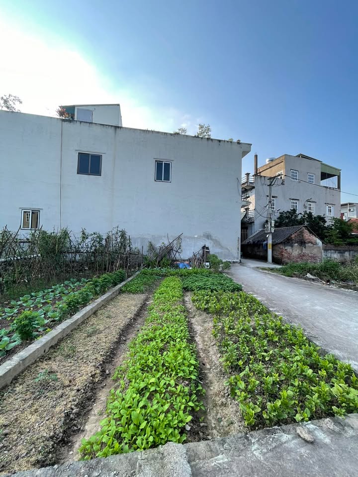 Đất phân lô Thường Tín 43.3m² giá 2 tỷ - Cơ hội đầu tư tuyệt vời!