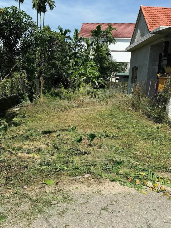 Đất kinh doanh Lộc An 161m² giá thỏa thuận - Vị trí đắc địa thuận lợi!