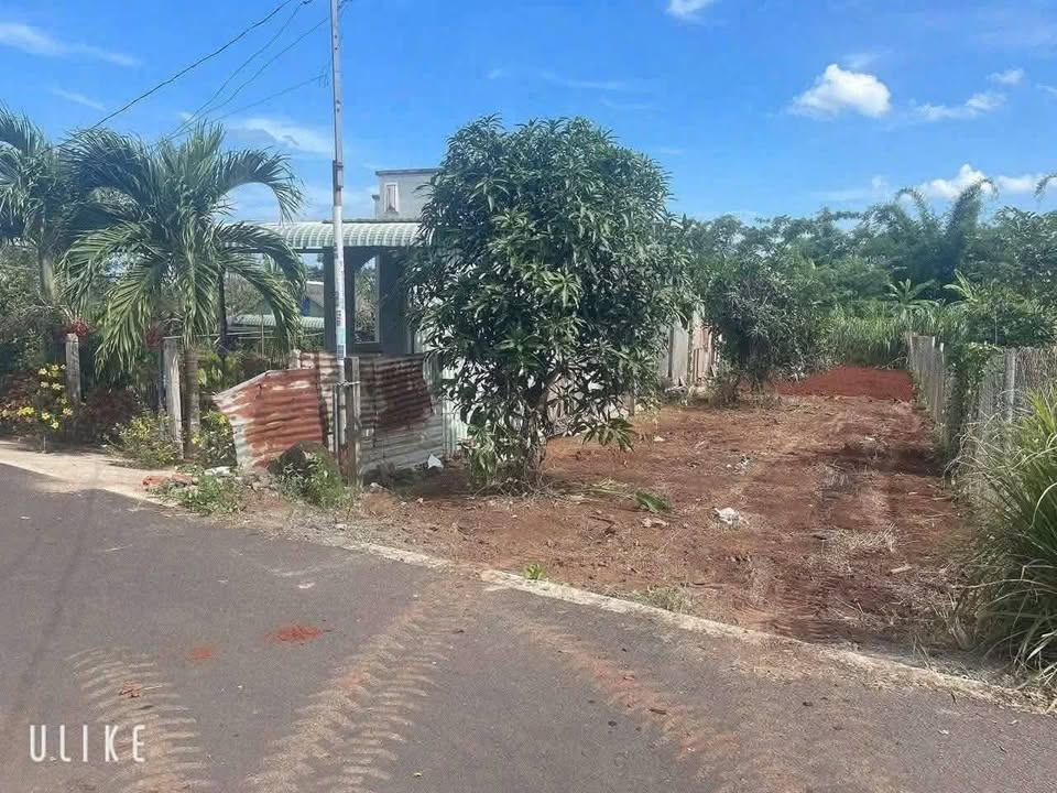 Lô đất Đất Đỏ, Bình Chánh 198m² giá 1.3 tỷ - Đầu tư sinh lời ngay!