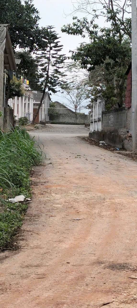 Đất nền thổ cư Đạo Tú, Tam Dương, Vĩnh Phúc 200m² giá 3 tỷ - Đầu tư sinh lời ngay!