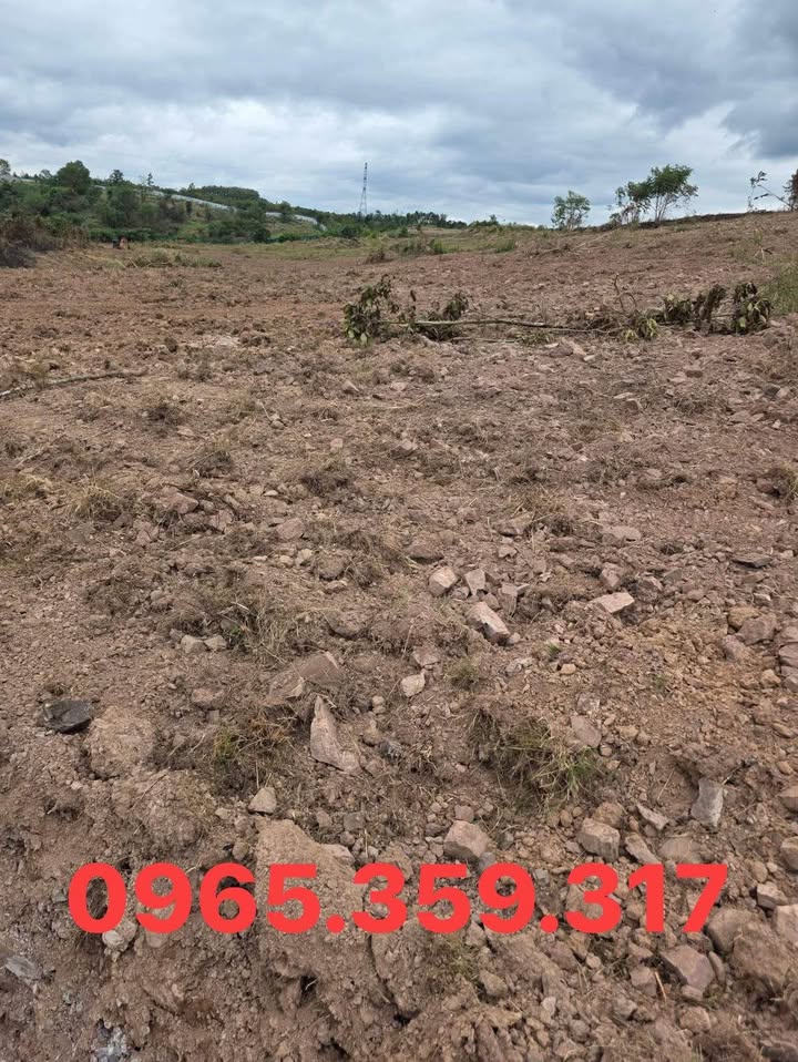 Đất nền Quảng Hiệp Cư M'gar 19999m² chỉ 170 triệu - Cơ hội đầu tư tuyệt vời!