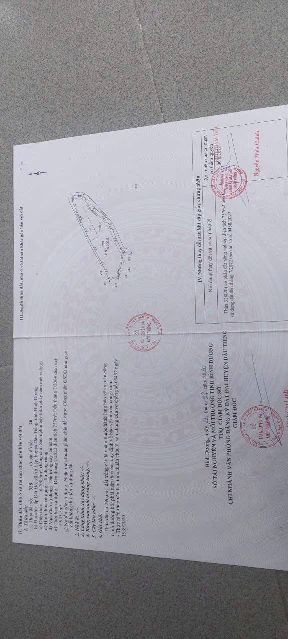 Đất nền An Lập Dầu Tiếng 6700m² giá 4.9 tỷ - Vườn dừa xanh mát, mặt tiền đường rộng!