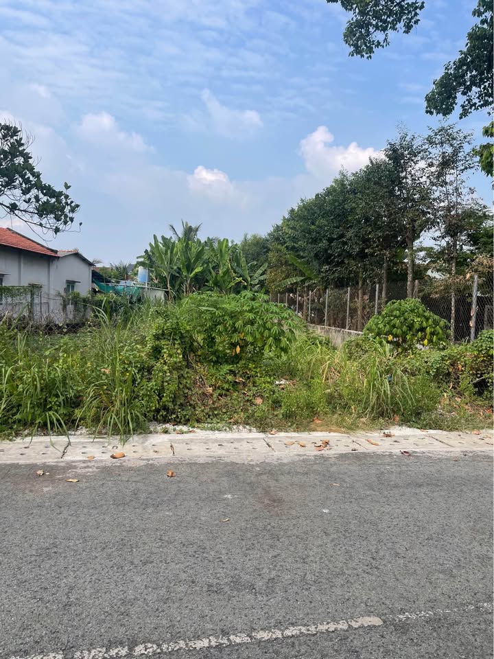 Nhà riêng Thủ Dầu Một 120m² giá 1 tỷ - Đường hẻm rộng rãi, xây dựng thoải mái!