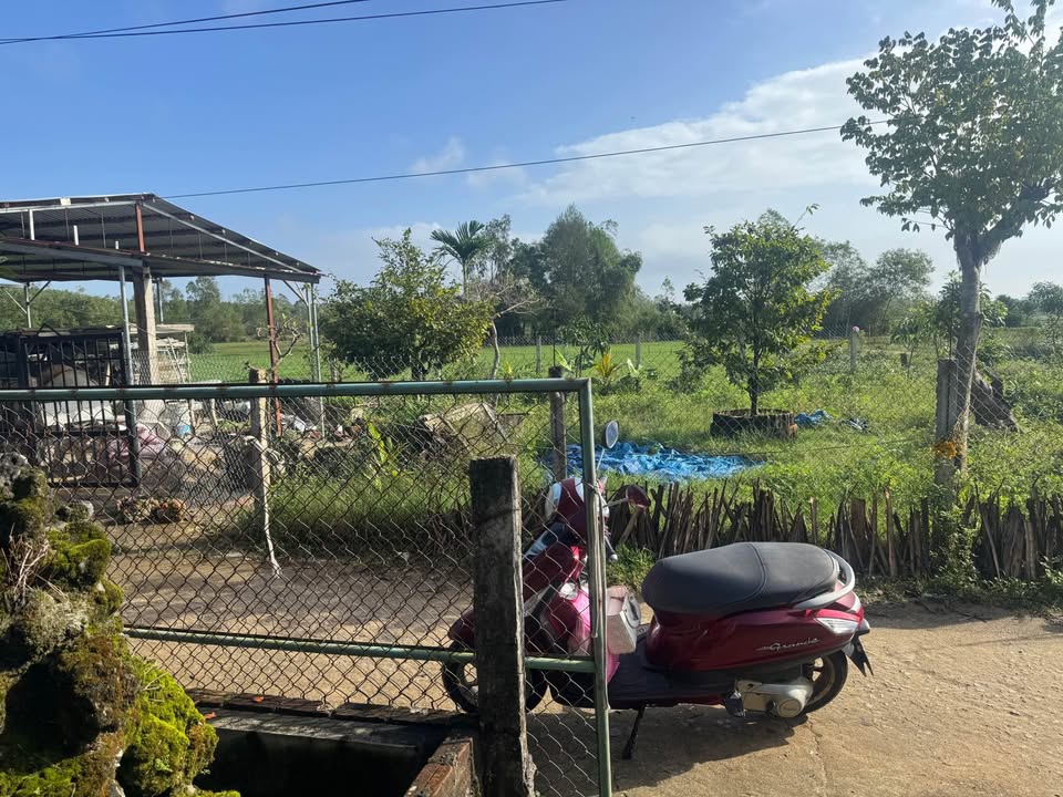 Đất vườn Tam Phú 500m² giá chỉ 300 triệu - Cơ hội đầu tư tuyệt vời!