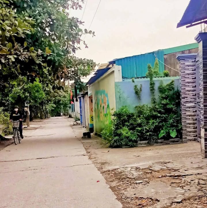 Đất nền Cẩm Phú, Cẩm Phả 65m² giá chỉ 400 triệu - Cơ hội đầu tư hấp dẫn!