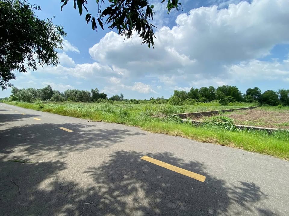 Đất nền 930m² xã Đất Đỏ - Giá chỉ 1.8 tỷ - Đầu tư sinh lời lý tưởng!