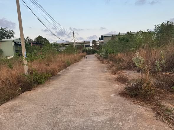 Đất mặt tiền đường Nhựa khu Tuyết Mai, Hòa Long 299m² - Cơ hội đầu tư lý tưởng!