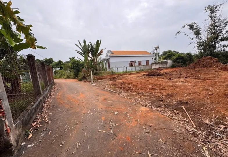 Đất nền xã Hòa Long, Bà Rịa - Vũng Tàu, 245m² giá 1.9 tỷ - Đầu tư sinh lời ngay!