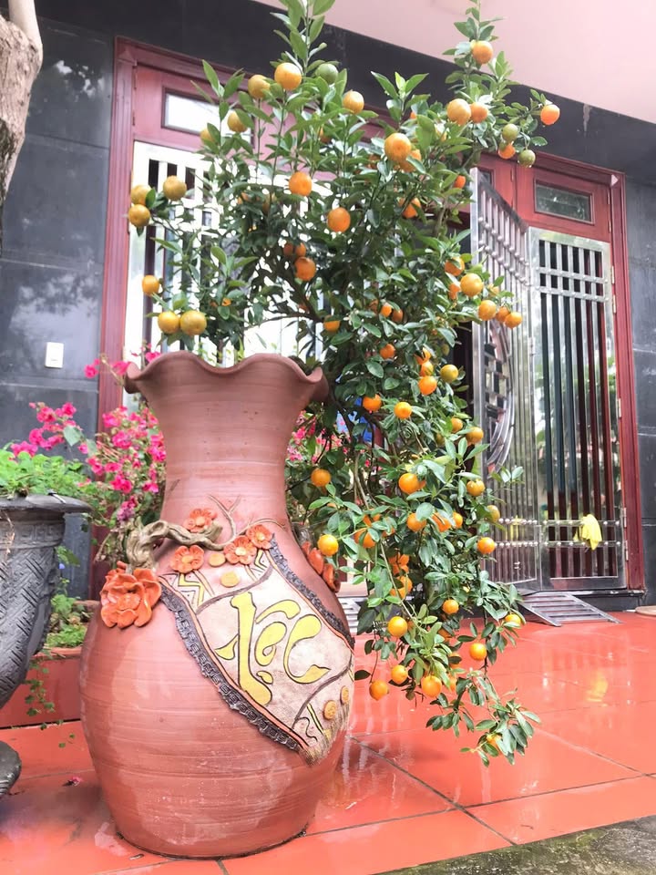 Lô đất Tân An - Yên Dũng 102m² giá 800 triệu - Cơ hội đầu tư tuyệt vời!