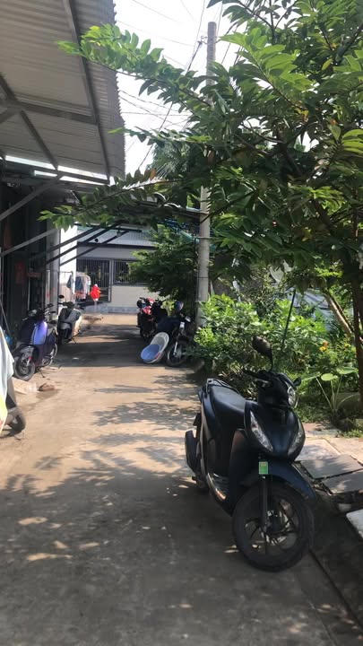 Đất nền Long Hậu 36m² giá 1.25 tỷ - Sổ hồng chính chủ, đầu tư sinh lời!