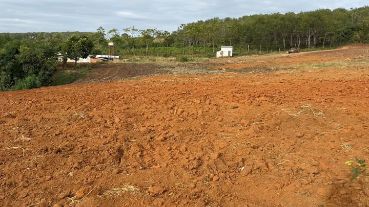 Đất nền xã Ia Ko, huyện Chư Sê 11.000m² giá 1.05 tỷ - Đầu tư sinh lời hấp dẫn!