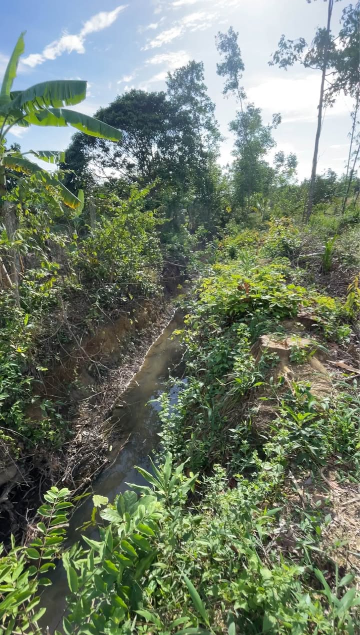 Đất nền 6100m² phường Long Hoa, Hòa Thành giá 6.5 tỷ - Mặt tiền đường nhựa, tiềm năng phát triển!