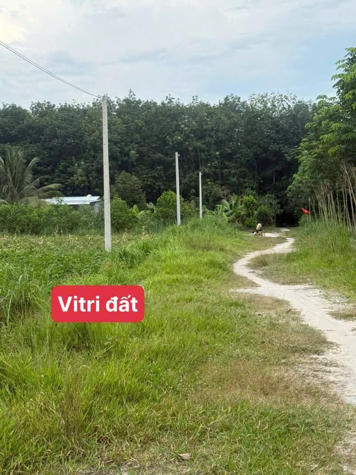 Đất nền 1000m² Nhánh đường 15, phường Minh Hưng, Chơn Thành giá chỉ 400 triệu - Cơ hội đầu tư tuyệt vời!