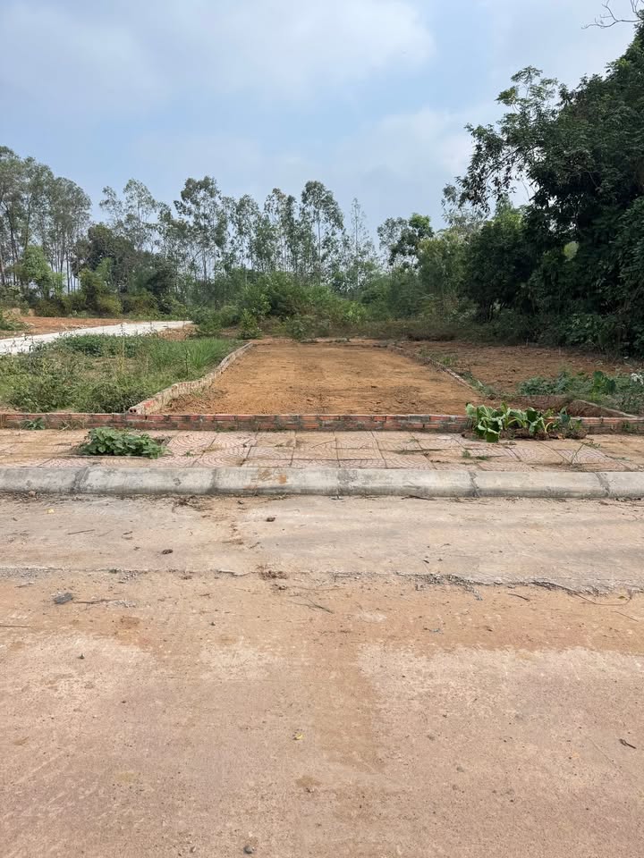 Đất thổ cư Hướng Đạo Tam Dương 99m² giá 1.1 tỷ - Cơ hội vàng cho đầu tư!