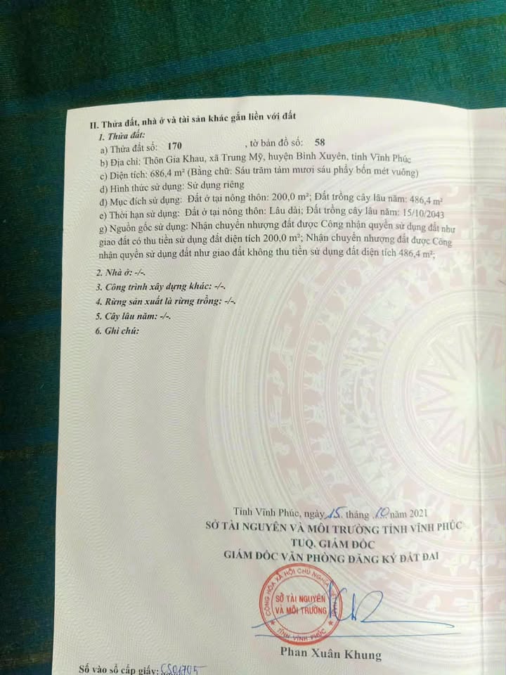 Đất nền 686m² Trung Mỹ, Bình Xuyên - Cách KCN Bá Thiện chỉ 5 phút di chuyển!