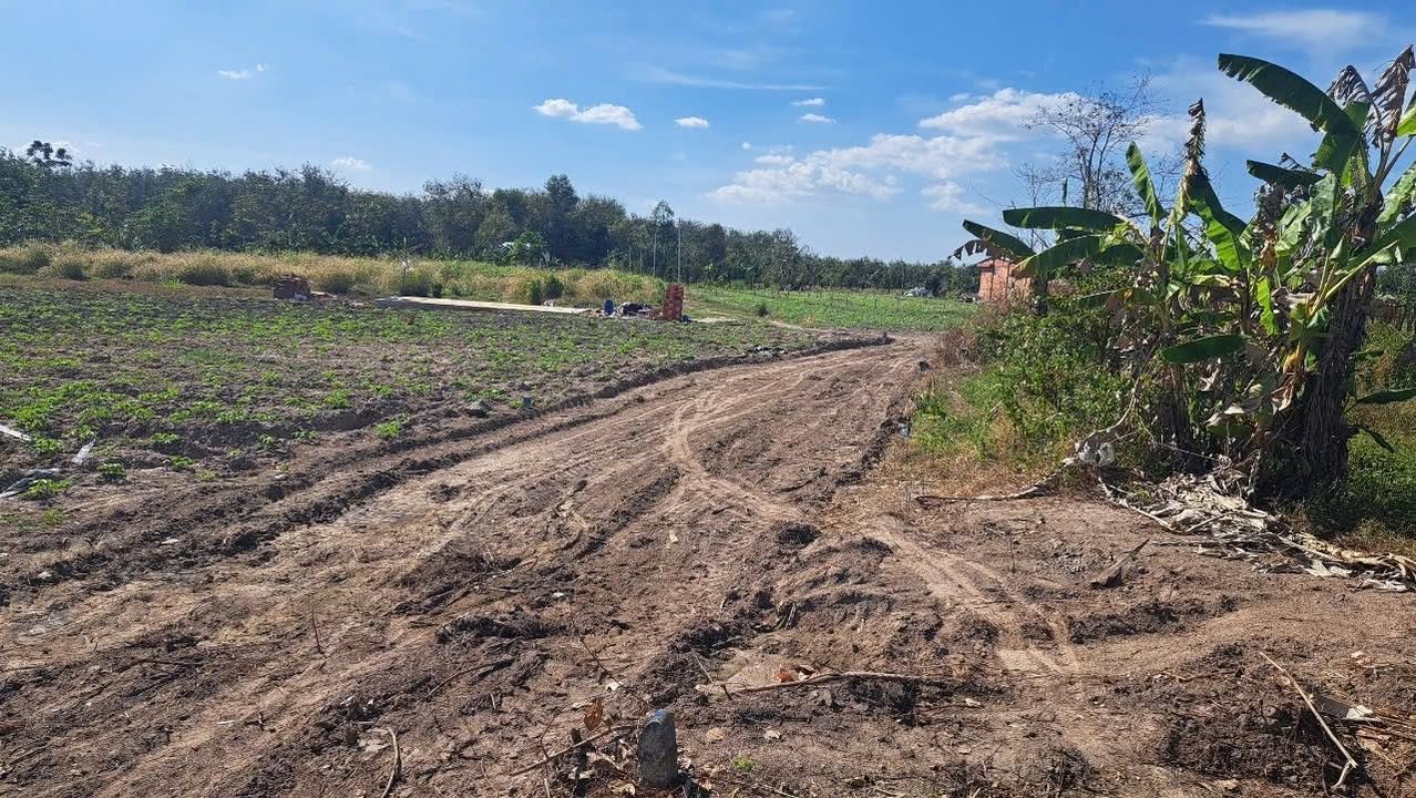 Đất nền chính chủ phường Bình Minh, Tây Ninh 600m² chỉ 199 triệu - Cơ hội đầu tư tốt!