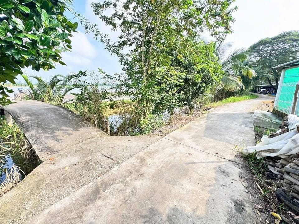 Đất nền Phường Đông Thành, Bình Minh 300m² giá chỉ 420 triệu - Cơ hội đầu tư hấp dẫn!