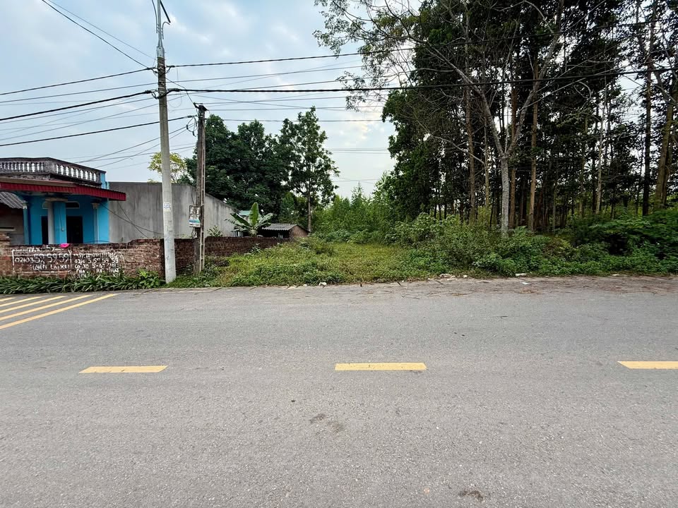 Đất nền Phú Thọ 106m² giá 1 tỷ - Cơ hội đầu tư tuyệt vời!