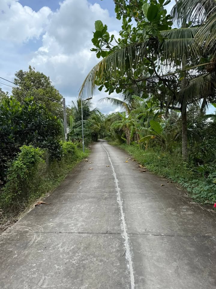 Đất nền Cái Bè 1469m² giá 1.5 tỷ - Đường ô tô vào tận nơi!