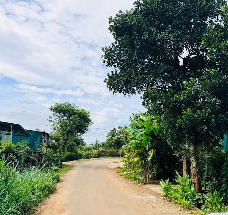 Đất nền Phước An 183m² giá 871.2 triệu - Tiện ích trung tâm sẵn có!