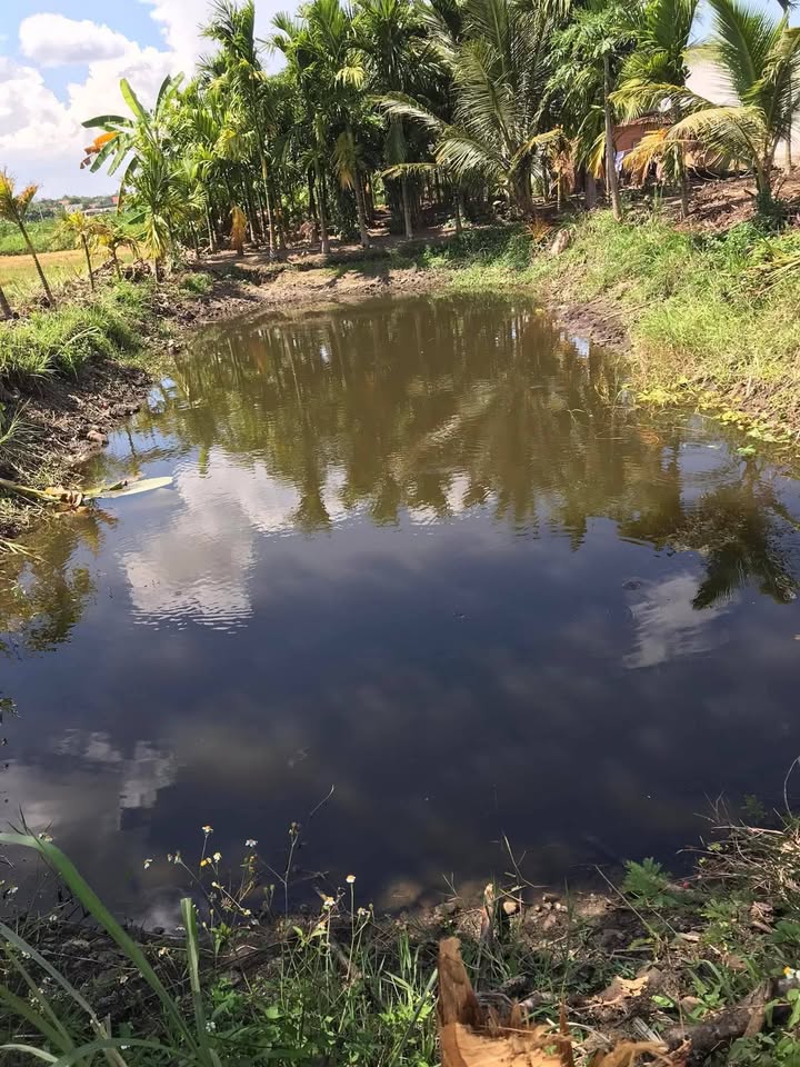 Đất thổ cư Hòa An 1200m² giá thỏa thuận - View rộng đẹp, gần ủy ban nhân dân!