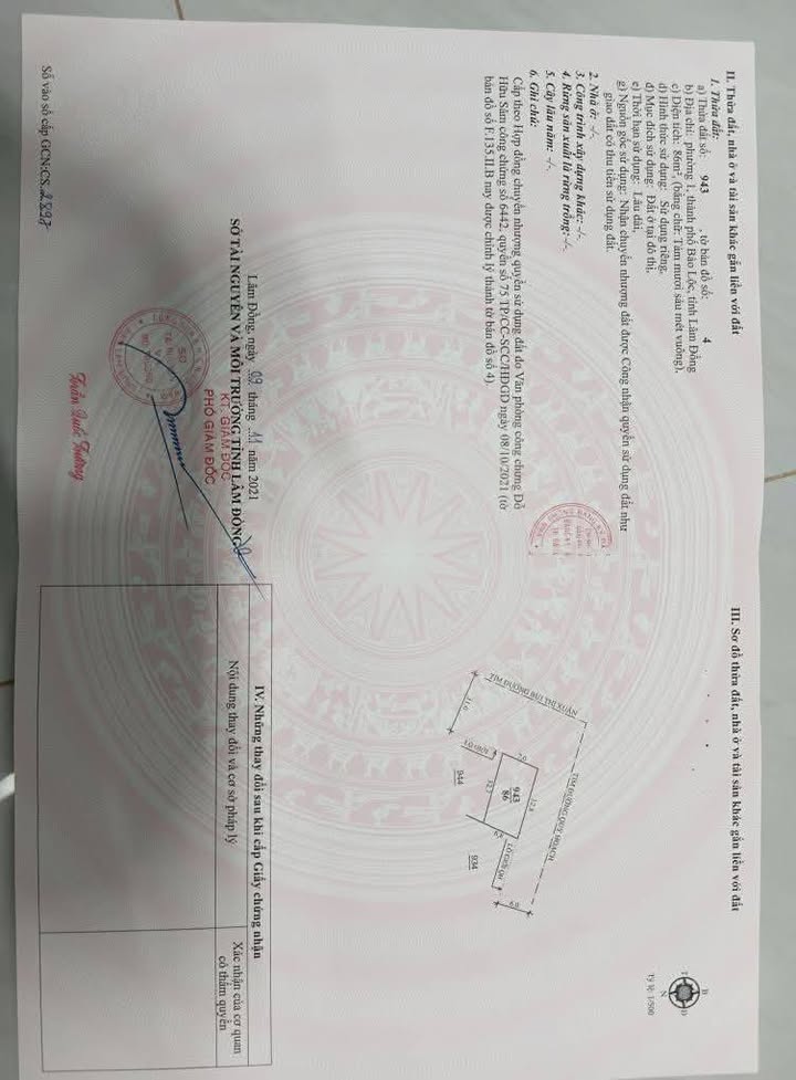 Đất nền Bảo Lộc 87m² giá 5 tỷ - Mặt tiền đường Bùi Thị Xuân, kinh doanh sầm uất!