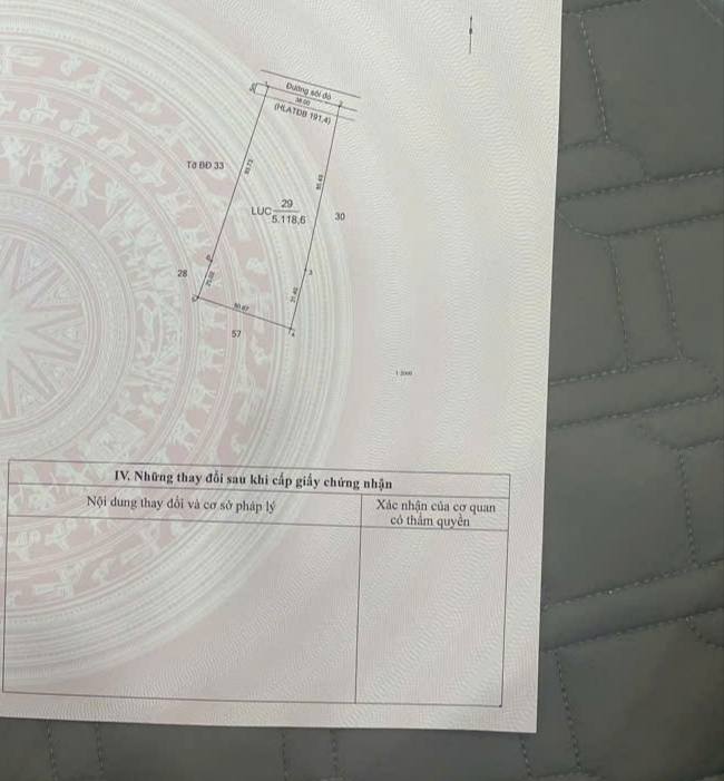 Đất lúa 1 mẫu tại Thanh Tuyền, Dầu Tiếng - Giá chỉ 5.5 tỷ