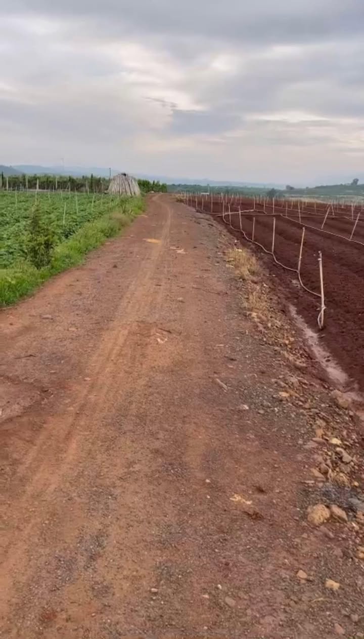 Đất nền Tân Hội 500m² giá 390 triệu - Đường ô tô vào tận nơi!