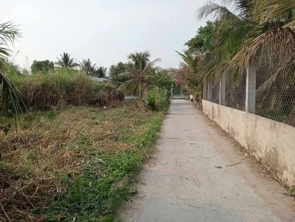 Đất thổ cư Ấp 5 Nhựt Chánh 100m² giá 780 triệu - Mặt tiền đường ô tô thuận tiện!