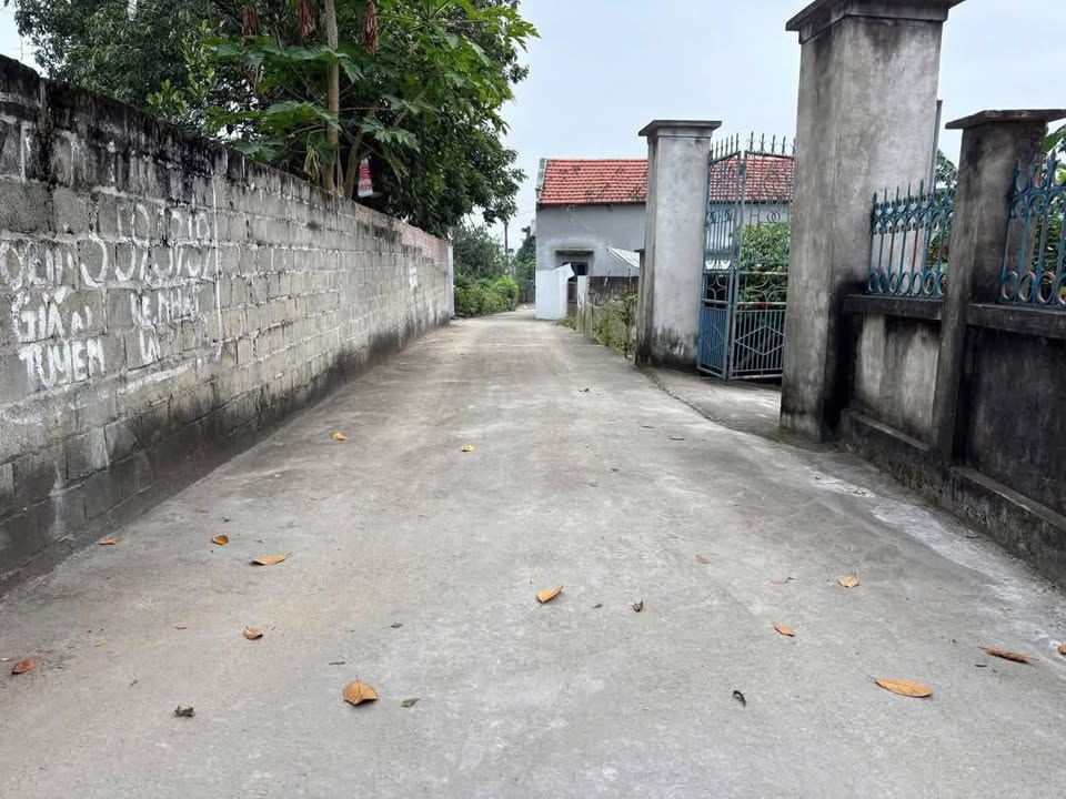 Đất nền Đức Bác Sông Lô 250m² - Vị trí thuận lợi gần cầu Vĩnh Phú