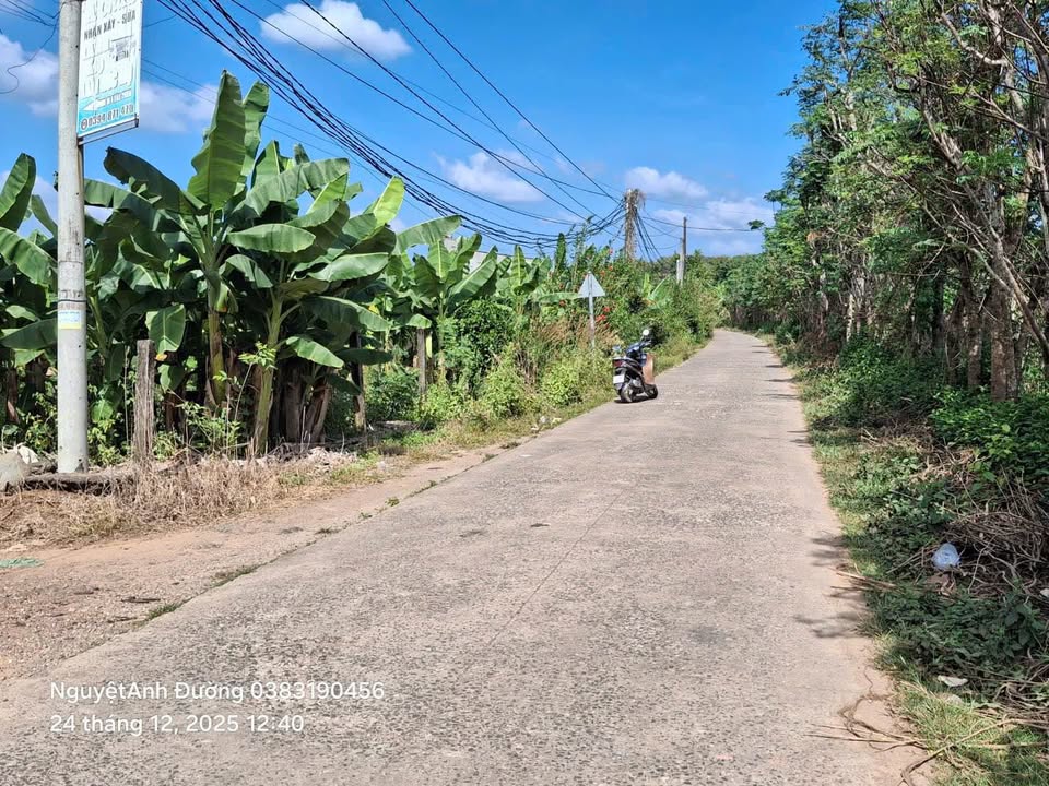 Đất Phú Vinh, Định Quán 10.000m² giá 1.9 tỷ - Đầu tư sinh lời ngay!