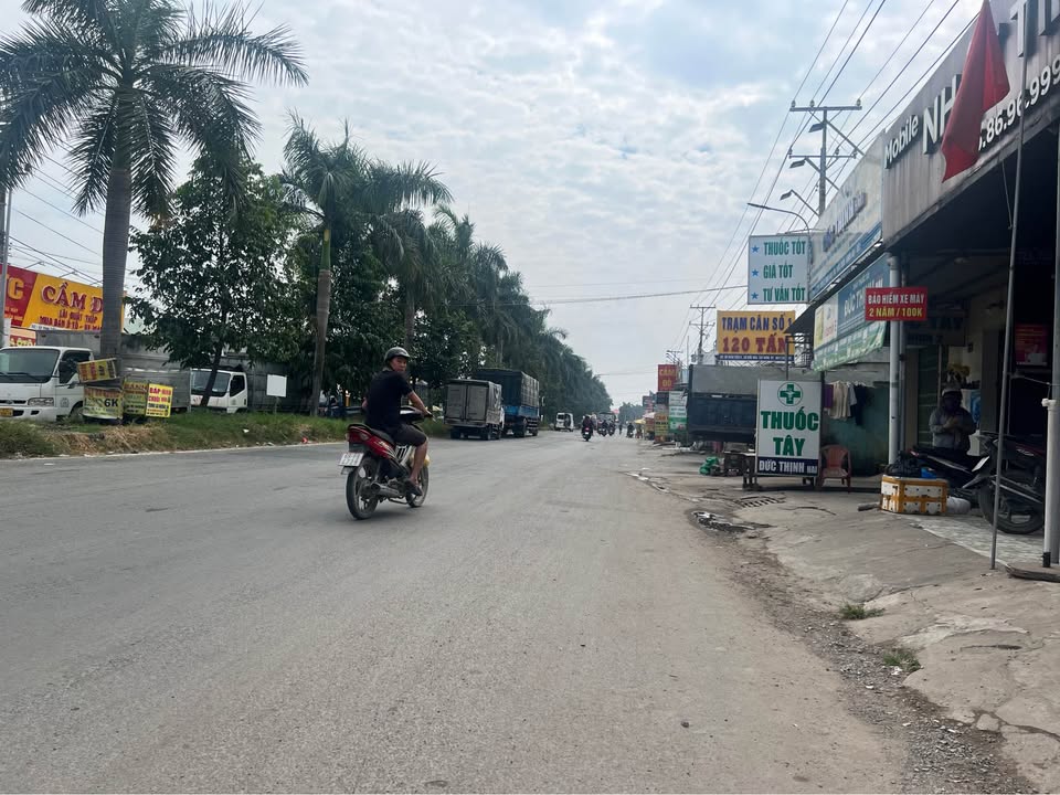 Đất thổ cư Đức Hòa Hạ 160m² giá 800 triệu - Sổ hồng riêng, thích hợp đầu tư!