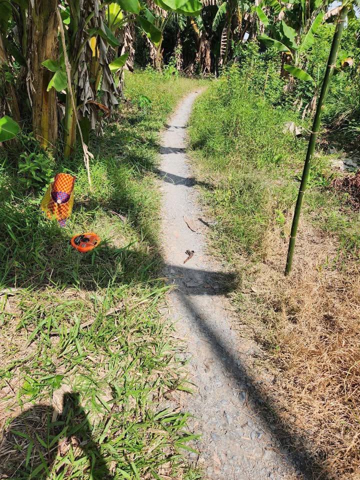 Đất nền Trường Lạc Ô Môn 138m² giá chỉ 360 triệu - Đầu tư sinh lời ngay!