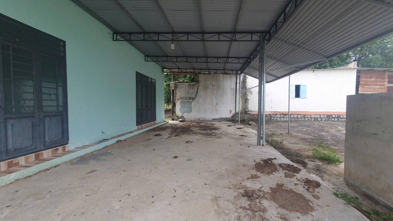 Trang trại vườn Ninh Thuận 25.000m² giá 1.55 tỷ - Cơ hội đầu tư tuyệt vời!