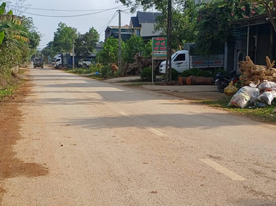 Lô đất Thọ Tiến, Triệu Sơn 100m² giá 800 triệu - Cơ hội đầu tư sinh lời!