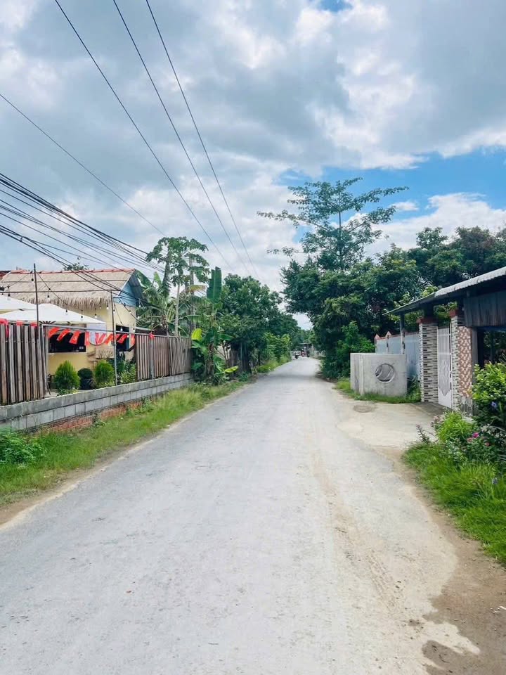 Đất mặt tiền ấp Phú Thành, xã Phú Vang, 308m² giá 2.2 tỷ - Cơ hội đầu tư sinh lời!