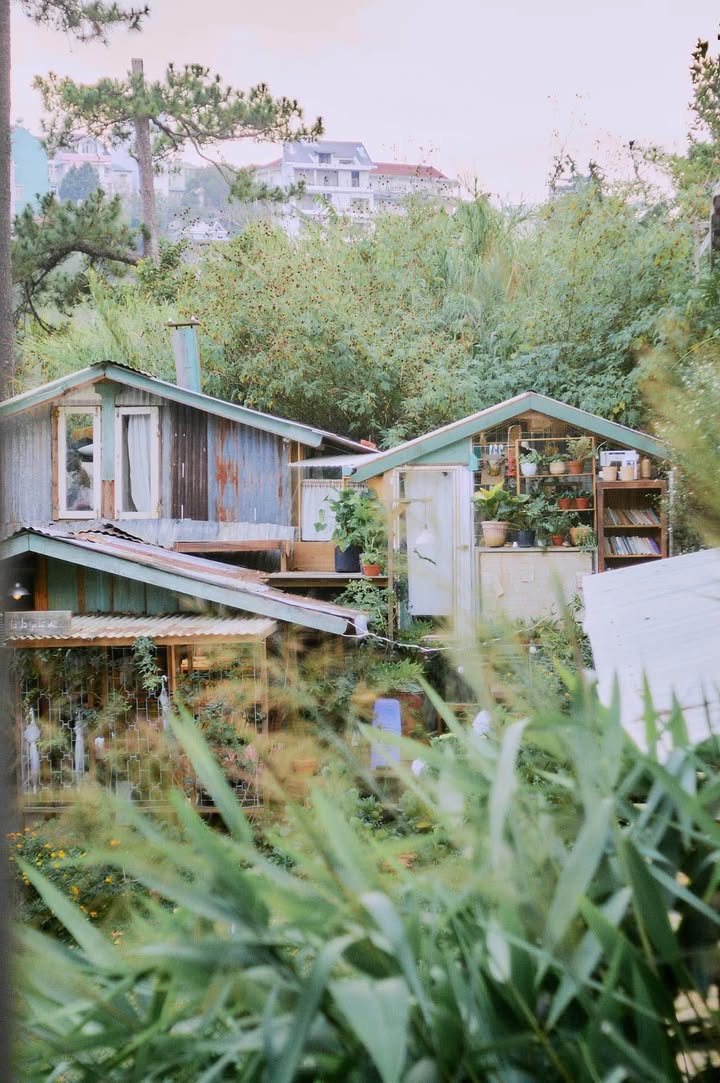 Nhà gỗ cho thuê Khởi Nghĩa Bắc Sơn Đà Lạt 1000m² - Vị trí trung tâm thuận lợi!