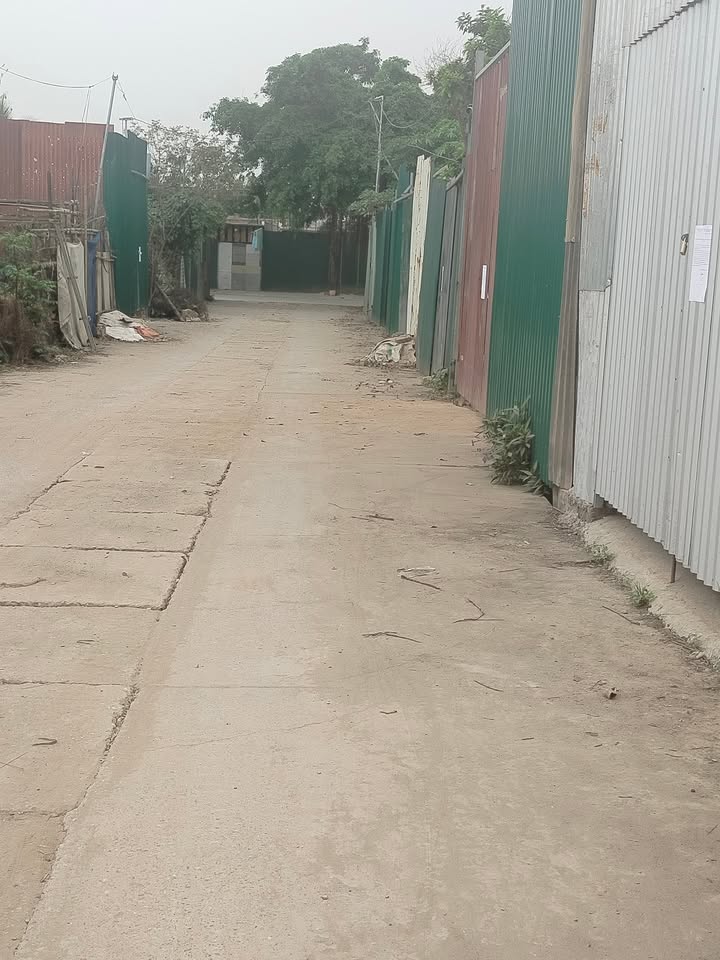 Đất nền Đại Áng 75m² giá chỉ 530 triệu - Cơ hội đầu tư tuyệt vời!