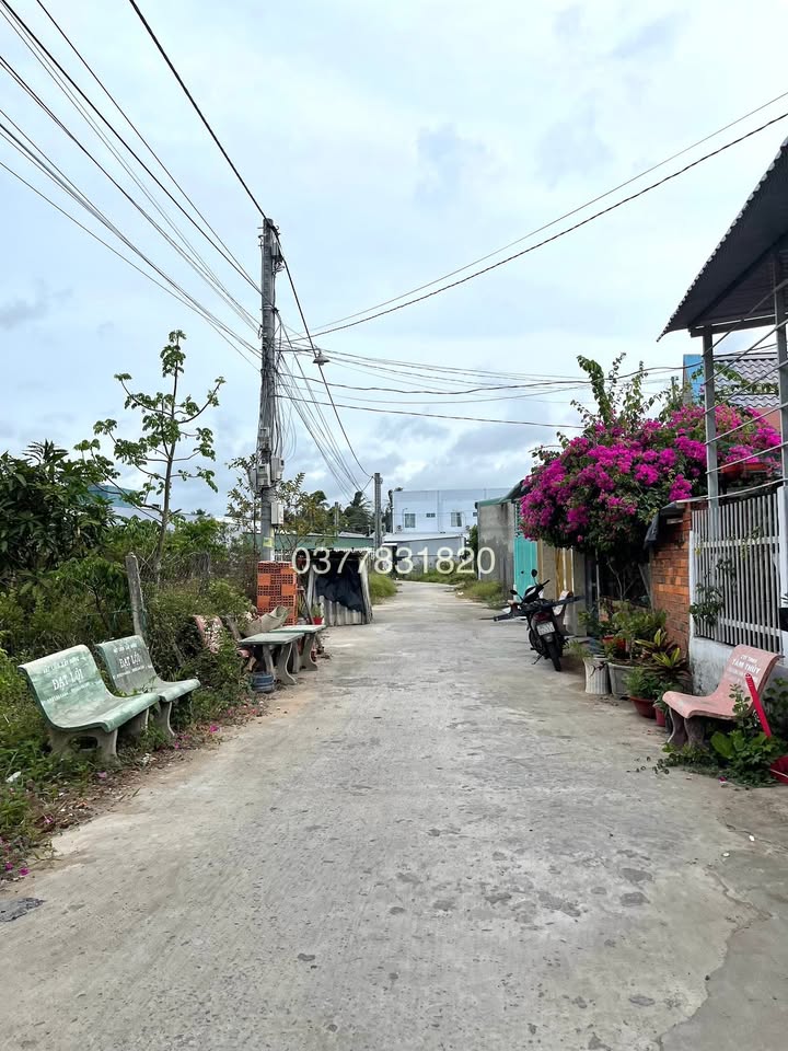 Bán đất mặt tiền đường Phú Hoà, Long Đức 105m² giá 270 triệu - Đầu tư sinh lời!