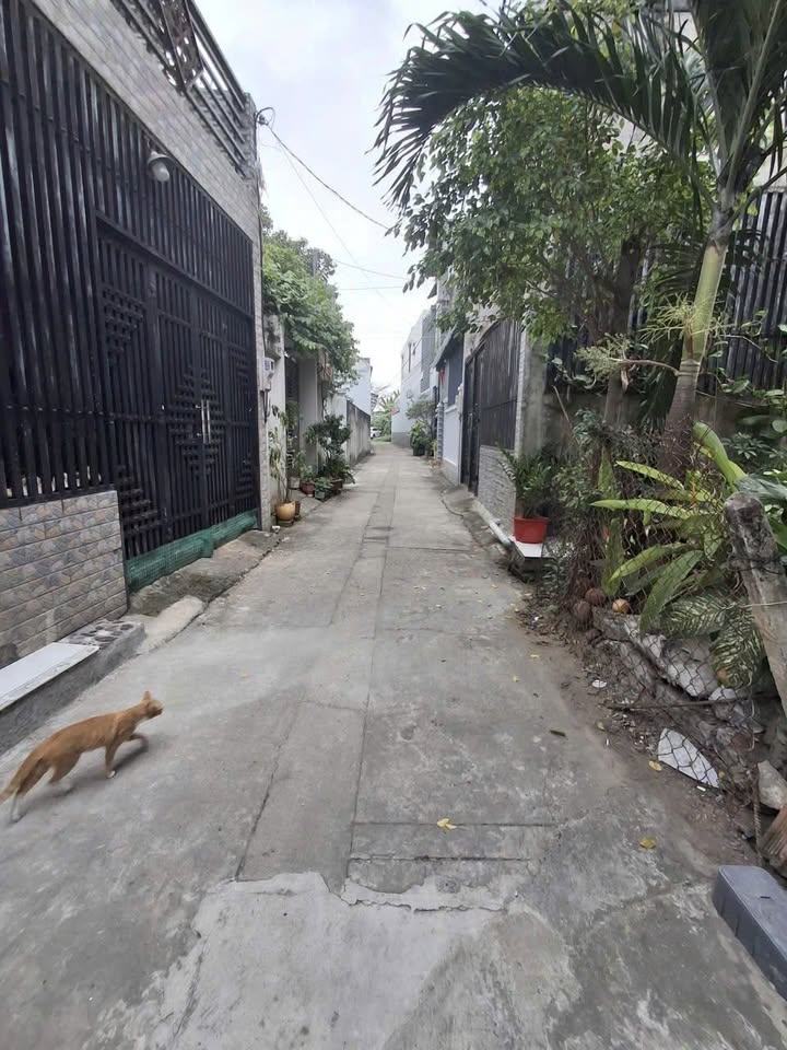 Đất thổ cư 105m² tại phường Trảng Dài, Biên Hòa - Giá 2.35 tỷ, sổ đỏ chính chủ!