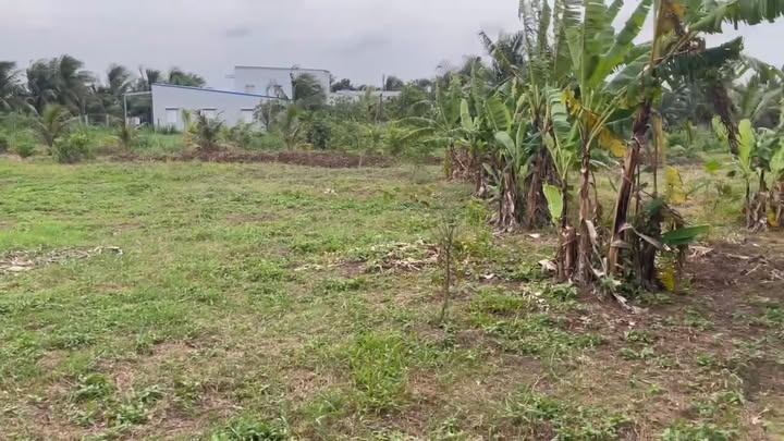 Đất vườn Tân Hương, Châu Thành 1800m² giá 1.2 tỷ - Đầu tư sinh lời ngay!