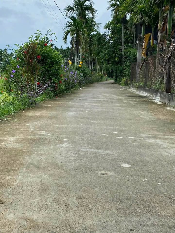 Đất nền Tân Hội Nghĩa Trung 448m² giá 200 triệu - Cơ hội đầu tư tuyệt vời!