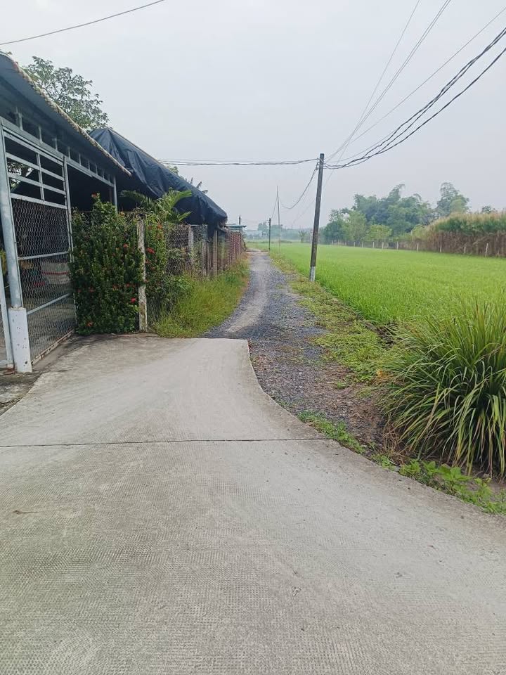 Đất nhà vườn 2 mặt tiền đường Phạm Văn Trực, Long An 3200m² giá 14 tỷ - Đầu tư sinh lời ngay!