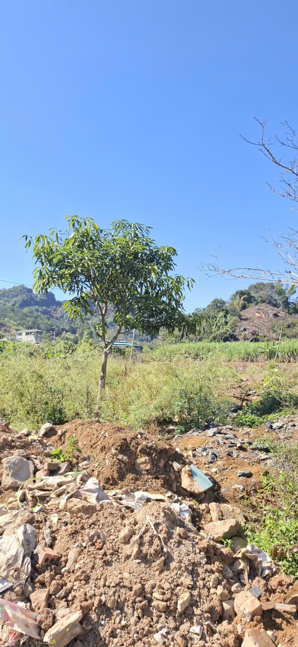 Đất nền Chiềng Ngần Sơn La 300m² giá 285 triệu - Cơ hội vàng cho đầu tư!