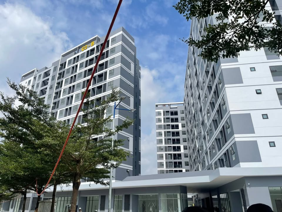 Căn hộ cho thuê C2 Phú Mỹ, Thủ Dầu Một, 35-67m² - Giá từ 5.5 triệu