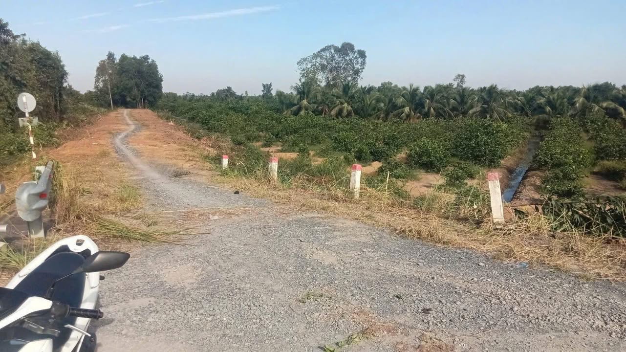 Đất vườn 500m² xã Thạnh Hòa - Bến Lức giá 475 triệu - Hàng hiếm view kênh lớn!