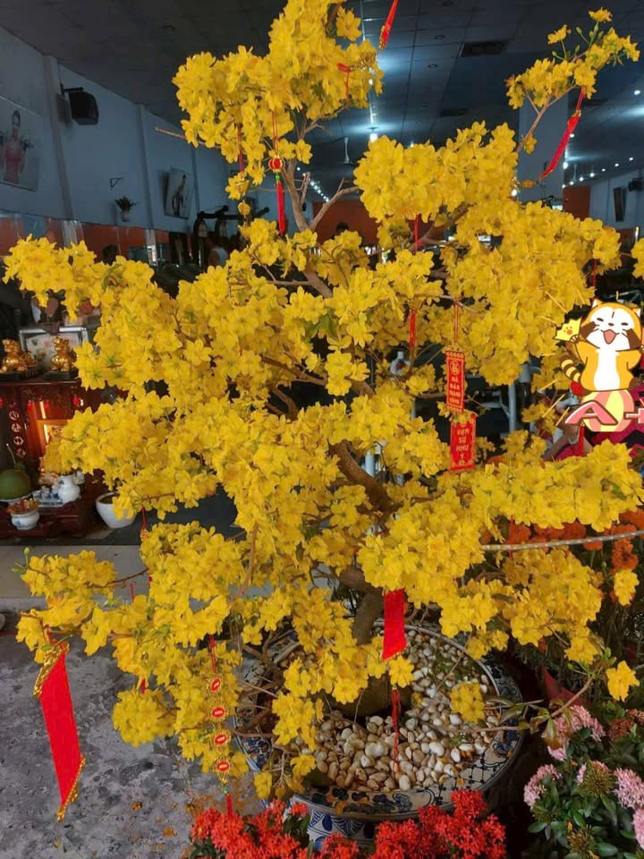 Đất thổ cư 385m² tại phường Khánh Hậu, Tân An - Giá chỉ 1.4 tỷ, đường xe tải!