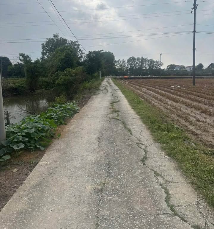 Đất nền Quán Vinh Ninh Hoà 160m² giá thỏa thuận - Đường ô tô rộng rãi!