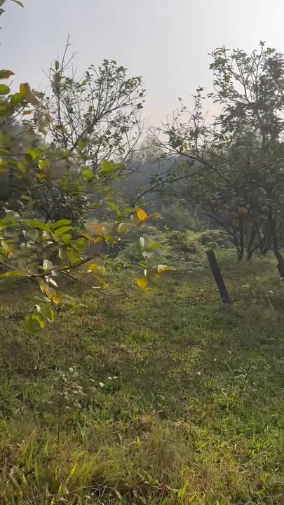 Đất thổ cư Thịnh Đức 5000m² giá 2 triệu/m² - Phong thủy đẹp, gần suối